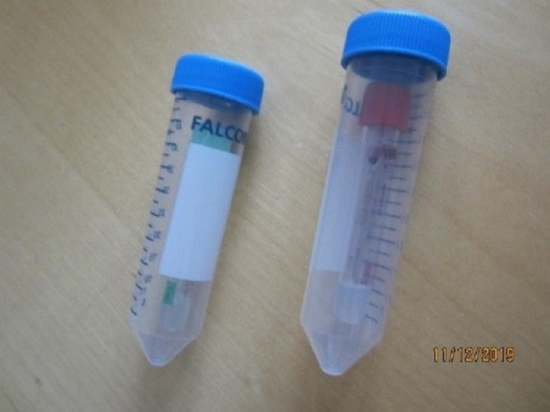 lintuinfluenssaohje kuva1 lintuinfluenssaohje kuva1